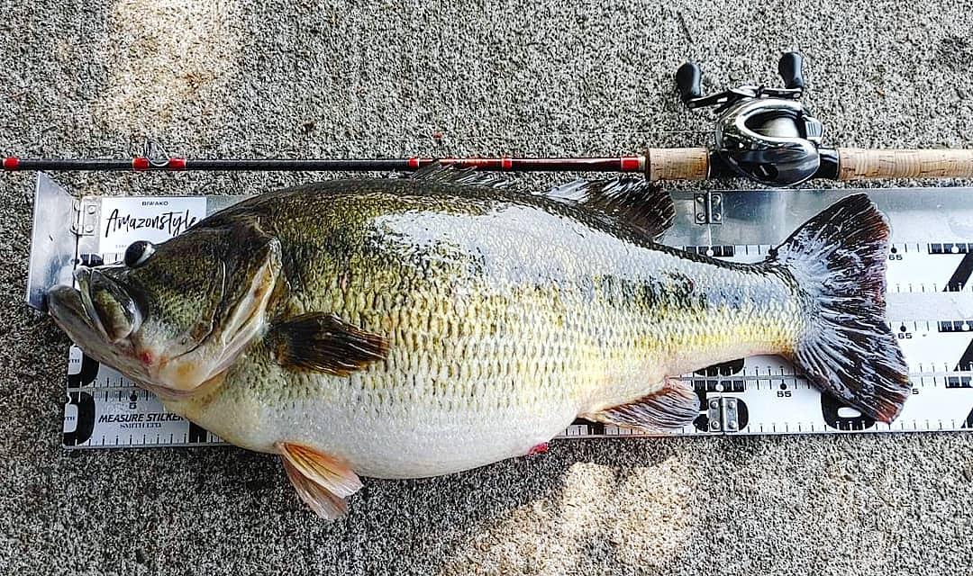 琵琶湖モンスターバス -湖北おかっぱり で現れた“64cm6500g”あの日を