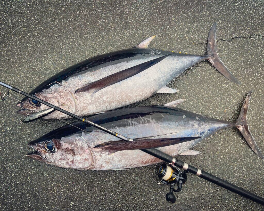 マグロ釣りやめました！ - リール